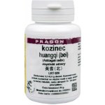 Sinecura Kozinec huangqi bei instantní prášek 20 g – Hledejceny.cz