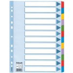 Esselte Mylar - kartonový rozlišovač - 12 listů – Hledejceny.cz