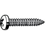 Manutan Samořezný šroub s válcovou vypouklou hlavou s křížovou drážkou Phillips DIN 7981 C-H Ocel Pozinkované ST3,9X16MM – Hledejceny.cz