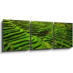 Obraz 3D třídílný - 150 x 50 cm - Batad Rice Terraces in Northern Luzon, Philippines. Rýžové terasy Batad v severním Luzonu na Filipínách.