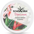 Soaphoria krémový deodorant Tropicana 50 ml