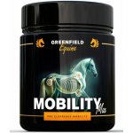 Greenfield Equine Arthri Mobility Max Equine Mrkev 1 kg – Hledejceny.cz
