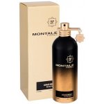 Montale Aoud Night parfémovaná voda unisex 100 ml – Hledejceny.cz