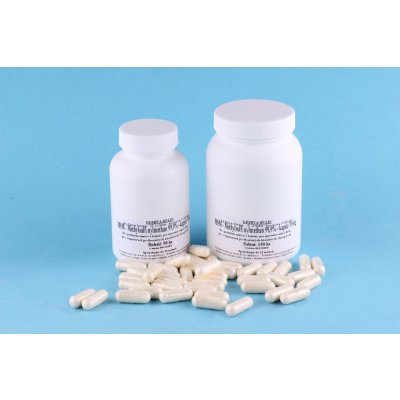 MSM - Methylsulfonylmethan 99,9 % - Kapsle 800 mg - pro psy 300 ks – Zboží Mobilmania