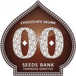 00 Seeds Bank Chocolate Skunk semena neobsahují THC 3 ks – Sleviste.cz