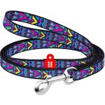 WAUDOG Collar Vodítko nylon – Sleviste.cz