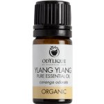 Odylique Esenciální olej Ylang Ylang 5 ml – Hledejceny.cz