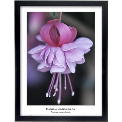 TRADAG Natura 30 x 40 černý – Zboží Mobilmania