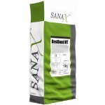 Sanax Cementová tixotropní 1K malta pro lepení helikální výztuže. | ResiBond MT - 10kg – Zboží Mobilmania