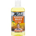 Auto-Lider Letní kapalina do ostřikovačů koncentrát citron 100 ml – Hledejceny.cz