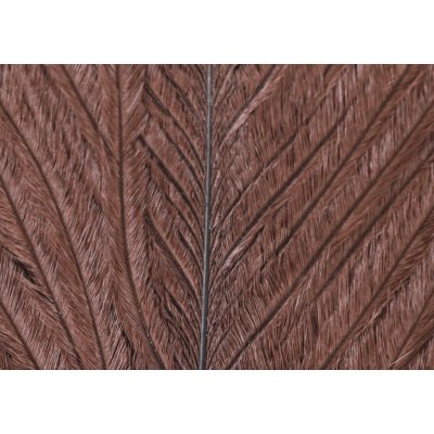 Veniard Pštrosí Peří Ostrich Herl Dark Brown – Hledejceny.cz