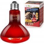 Repti Zoo Infračervená žárovka 150 W – Zbozi.Blesk.cz