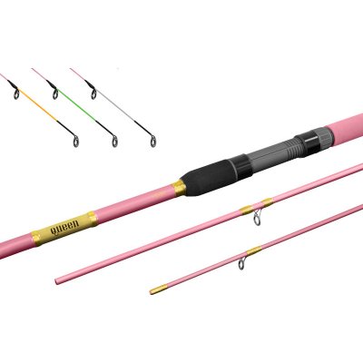 Delphin Špička QUEEN Feeder Heavy bílá Carbon – Zboží Dáma