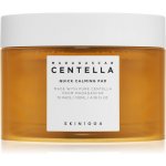 Skin1004 Madagascar Centella Quick Calming Pad 130 ml – Sleviste.cz