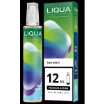 Ritchy Liqua Mix&Go Two Mints 12 ml – Zboží Dáma