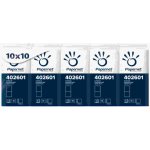 Papernet papírové kapesníčky 4--vrstvé celulóza 10 x 10 ks – Sleviste.cz