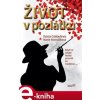 Elektronická kniha Život v pozlátku - Marie Formáčková, Ilona Golovleva