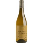 Terras De Baco White Wine 12,5% 0,75 l (holá láhev) – Hledejceny.cz