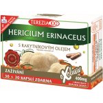 Terezia Company Hericium erinaceus s rakytníkovým olejem 60 kapslí – Hledejceny.cz