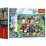 Trefl Mini miniMAXI Tlapková patrola/Paw Patrol v krabičce 11x8x4cm 20 dílků – Hledejceny.cz
