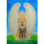 Sonnentor Anděl strážný bio porcováný 18 x 1,5 g – Zboží Dáma