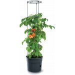Prosperplast Květináč na pěstování rajčat TOMATO GROWER antracit 35 x 35 x 26,3cm – Sleviste.cz