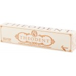 Theodent 300 96,4 g – Hledejceny.cz