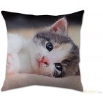 Dadka polštář kotě 40x40 – Sleviste.cz