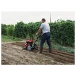Honda FF300 DET – Sleviste.cz