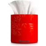 Renova papírové kapesníčky 3-vrstvé v červeném boxu 40 ks – Zboží Dáma