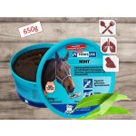 Horslyx Mint 0,65 kg – Zbozi.Blesk.cz