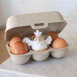 Koziol Box na vajec Eggs To Go Mini 6 ks – Zboží Mobilmania