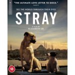 Stray BD – Sleviste.cz