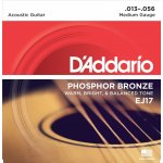 D'addario EJ17 – Sleviste.cz