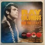 Now You Shake - The Definitive Beat R´N´B Pop Psych Recordings 1963-1969 - Ray Columbus CD – Hledejceny.cz