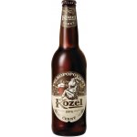 Pivo Kozel černý 10° 0,5 l x 20 ks (sklo) – Zboží Dáma