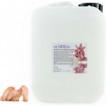 PM Aqualog esence do parních kabin erotic 817-005/D 5 l – Hledejceny.cz