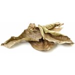 EasyFish Guava leaves 20 g – Zboží Dáma