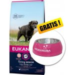 Eukanuba Caring senior Large Breed 15 kg – Hledejceny.cz