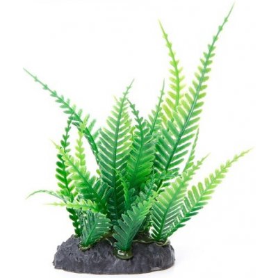 JK ANIMALS Kapradí mini 13 cm – Sleviste.cz