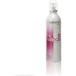 Salerm Finish Hi- Repair 100 ml – Hledejceny.cz