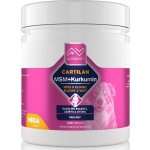 Altervet Cartilan MSM+kurkumin Mega 300 tbl – Zboží Mobilmania