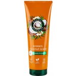 Herbal Essences Coconut Scent Hydrate kondicionér pro výživu a hydrataci 250 ml – Zboží Mobilmania