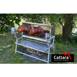 Cattara PIGLET CM90167