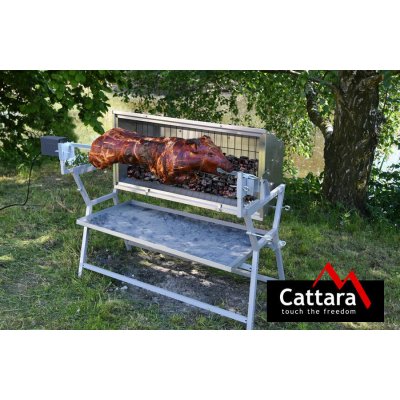 Cattara PIGLET CM90167