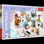 TREFL Fotky z dovolené 300 dílků – Hledejceny.cz