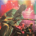 Buzzcocks: A Different Compilation LTD CLR 2 LP – Hledejceny.cz