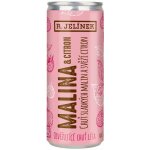 Rudolf Jelínek MALINA & CITRON míchaný nápoj 3,1% 250 ml (plech) – Zbozi.Blesk.cz