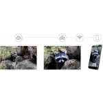 Levenhuk Kelvin Snap ED 8x42 – Zboží Živě