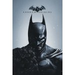 Umělecký tisk Batman - Arkham Origins, (26.7 x 40 cm) – Hledejceny.cz